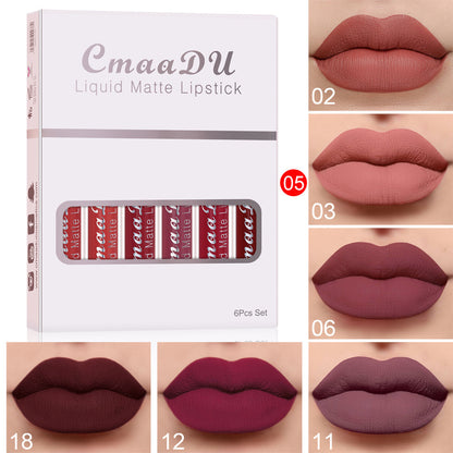 Matte Long Lasting Lip Gloss