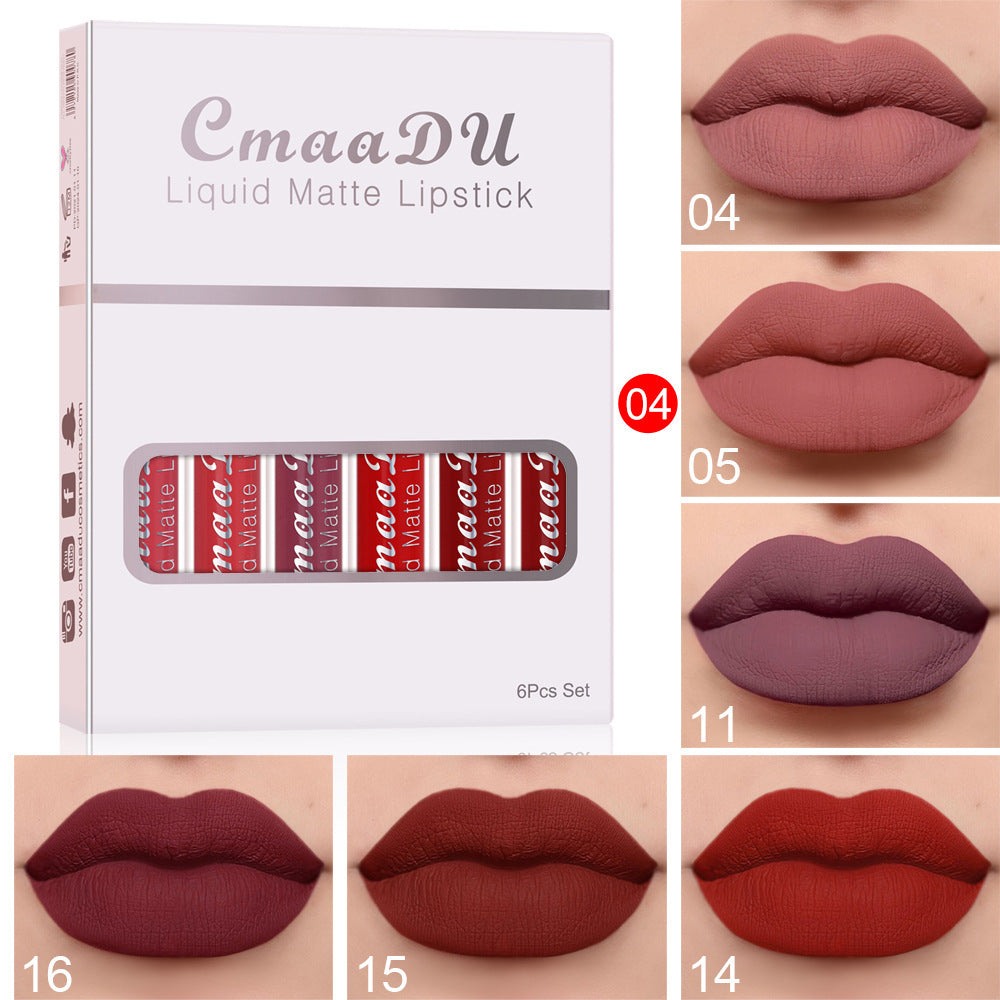 Matte Long Lasting Lip Gloss