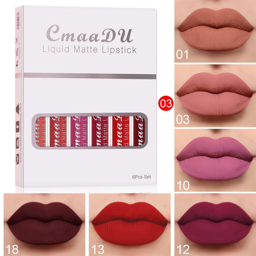 Matte Long Lasting Lip Gloss