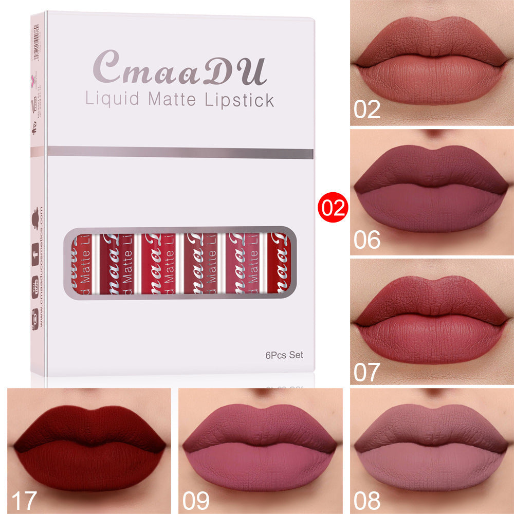 Matte Long Lasting Lip Gloss