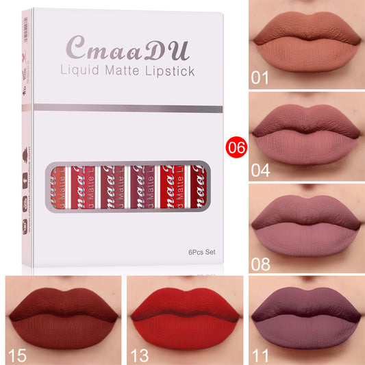 Matte Long Lasting Lip Gloss