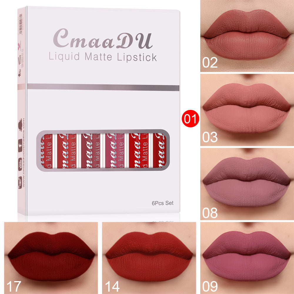 Matte Long Lasting Lip Gloss